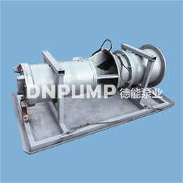 東北潛水貫流泵_德能泵業_潛水貫流泵臥式安裝